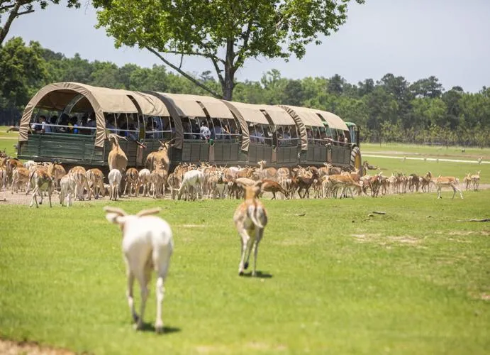 Global Wildlife Center in Tangipahoa Parish, LA